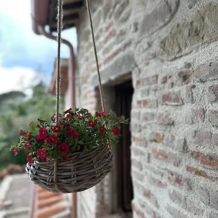 Prázdninový dům L'oasi Delle Volpi